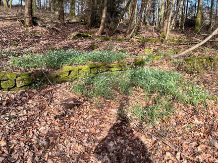 24-02-28 14-55-57 8790